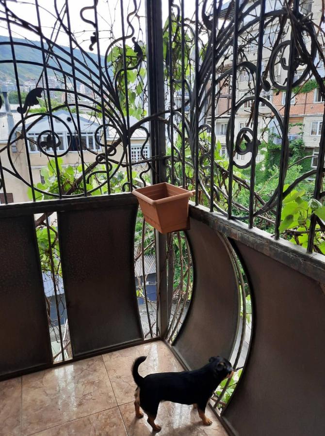Tbilisi Philharmonia Apartment Εξωτερικό φωτογραφία